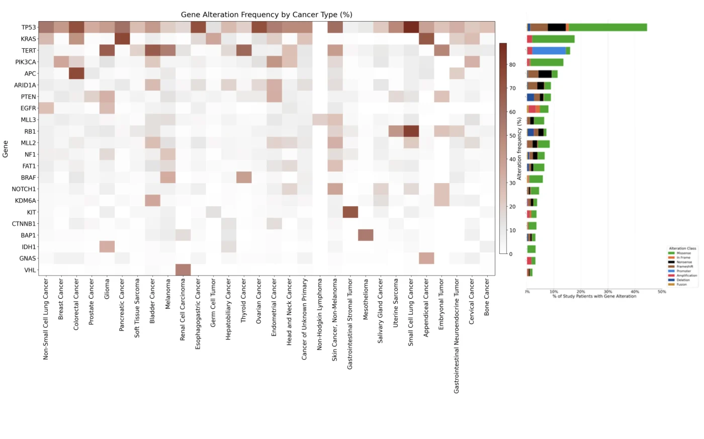 Gene mutation frequency heatmap — Bystro THiNK analysis
