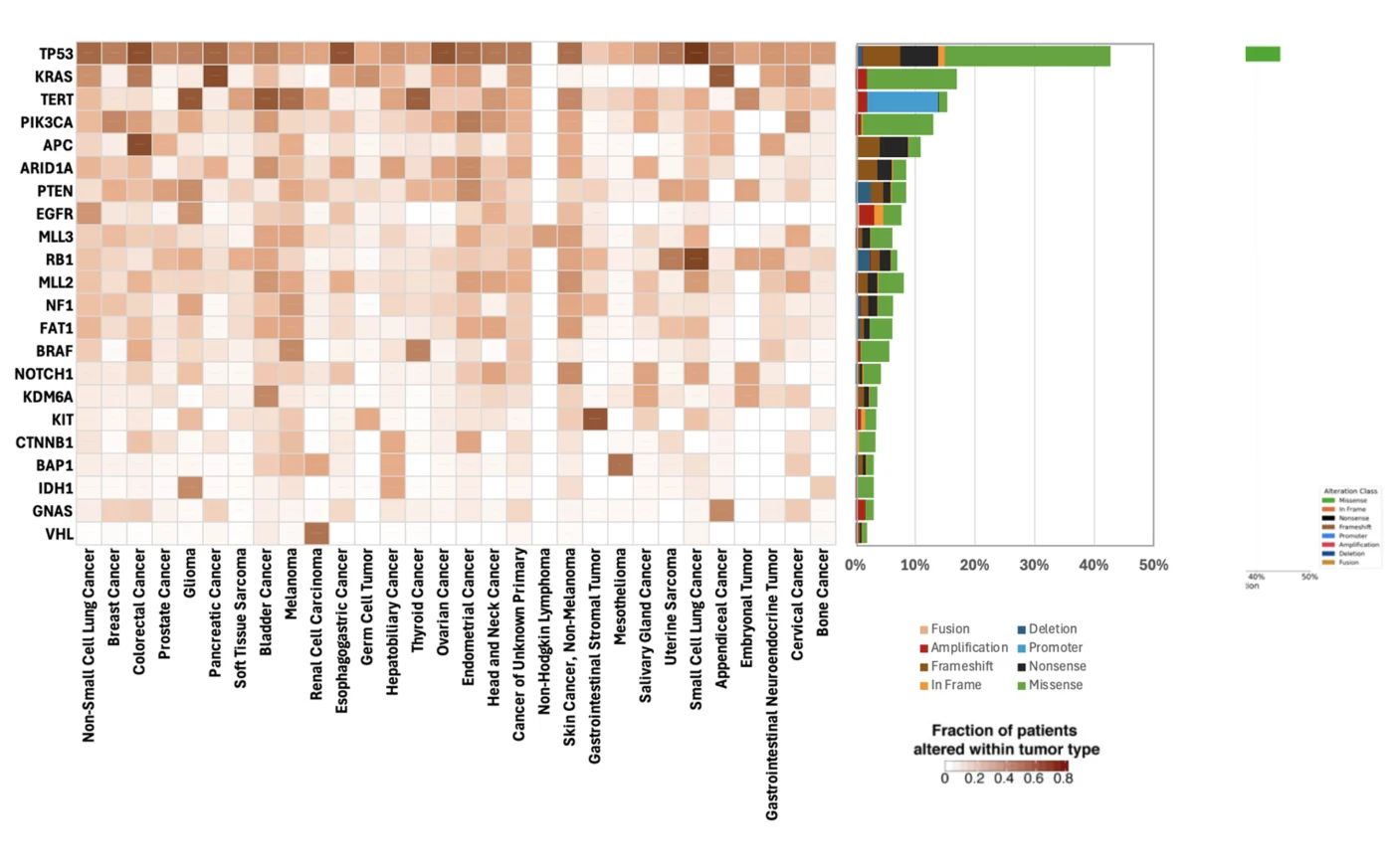 Gene mutation frequency heatmap — manual analysis