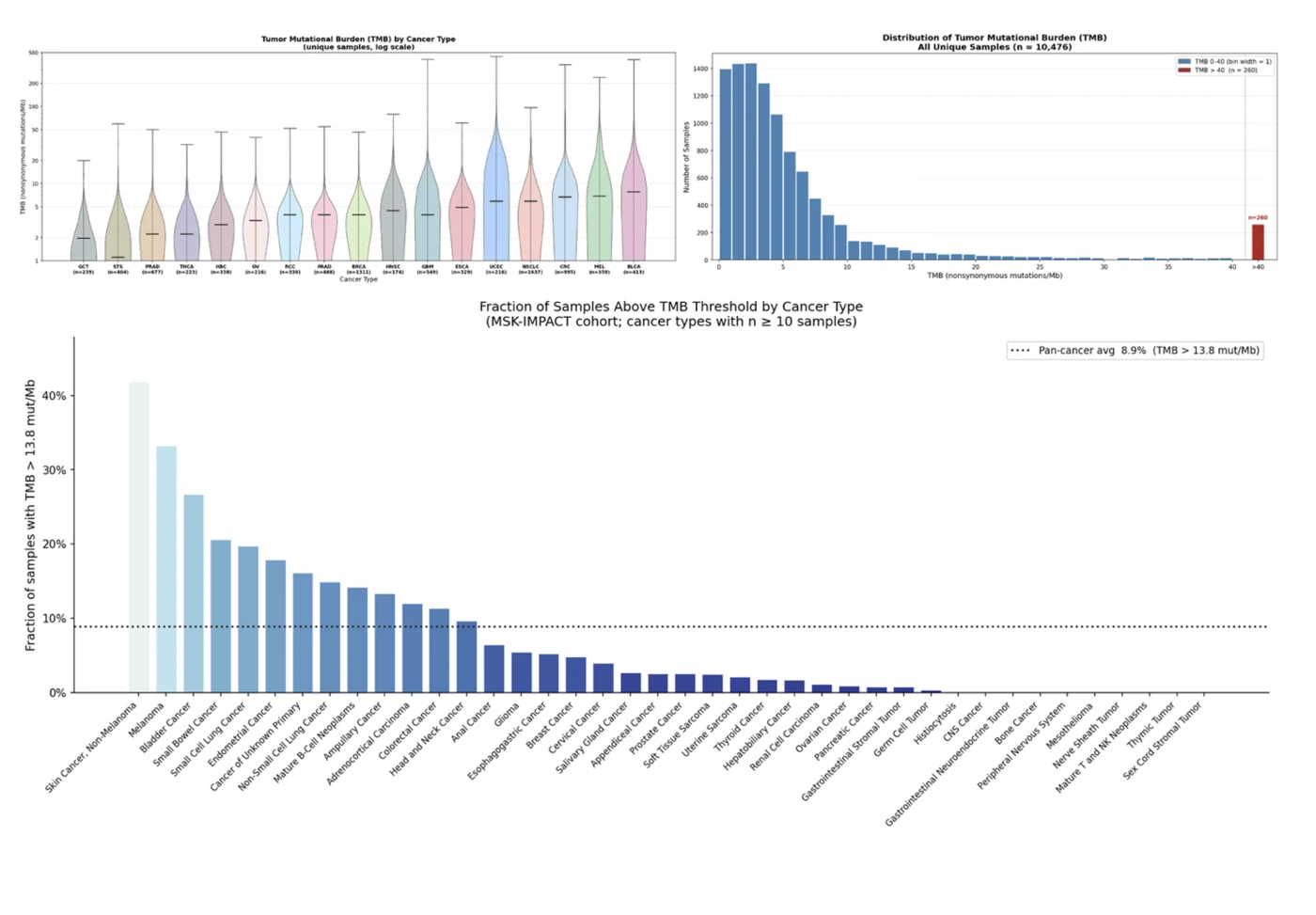 Tumor mutation burden, two ways — Bystro THiNK analysis