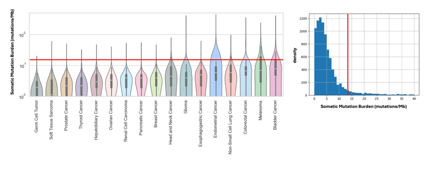 Tumor mutation burden, two ways — manual analysis